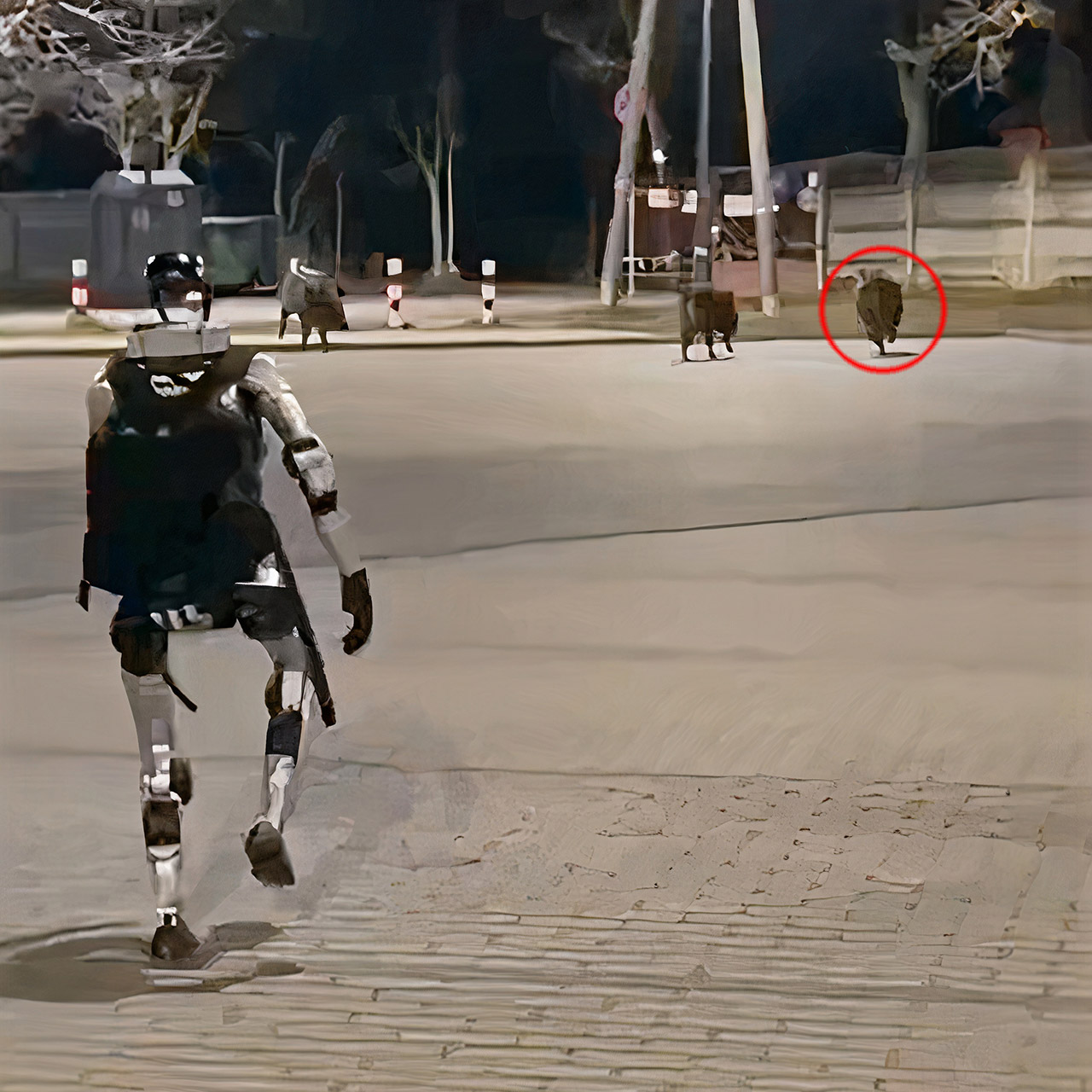 Unitree G1 Humanoid Robot Chasing Wild Boars Poland