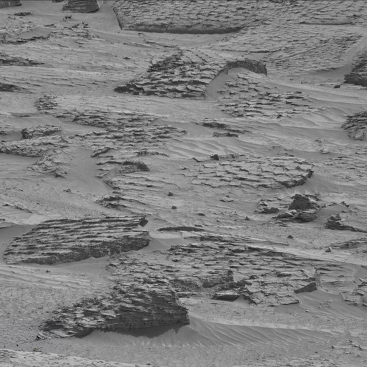 NASA Curiosity Rover Mars Dragon Scale Rocks