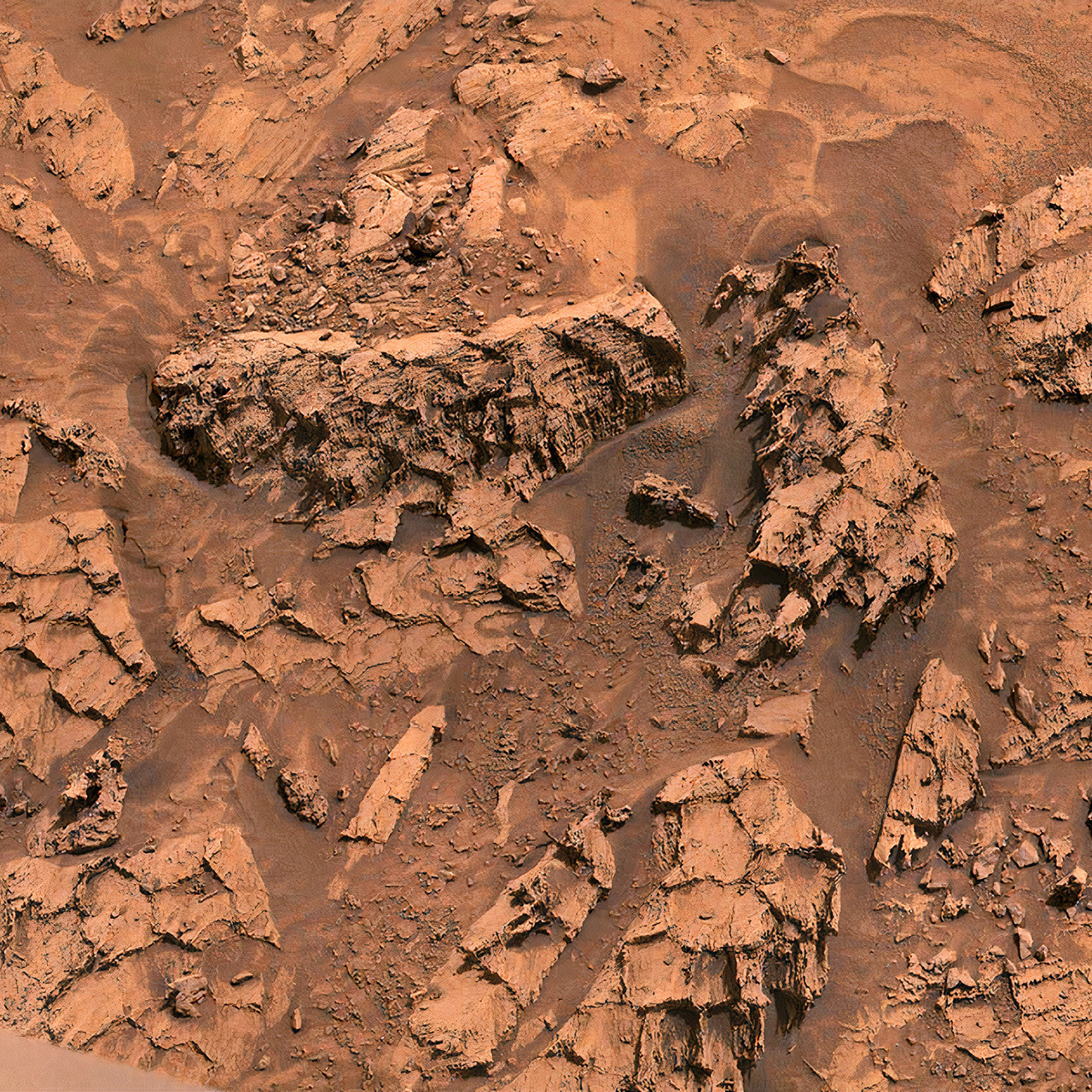 NASA Curiosity Rover Mars Dragon Scale Rocks