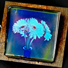 Lippmann Plate Photography Process