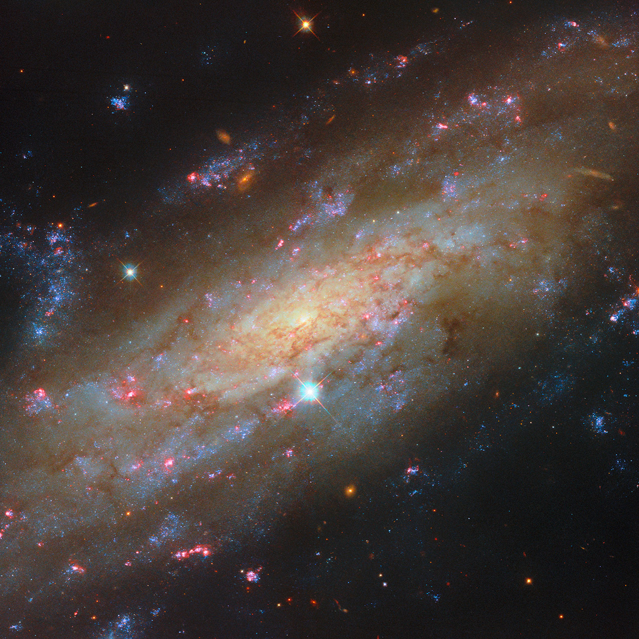 Hubble Space Telescope NGC 3137 Spiral Galaxy