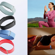 Google Fitbit Air Wearable