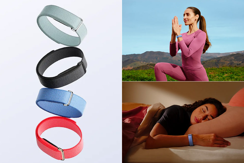 Google Fitbit Air Wearable