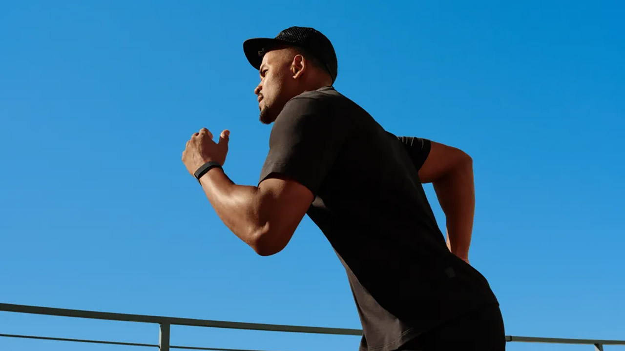 Google Fitbit Air Wearable