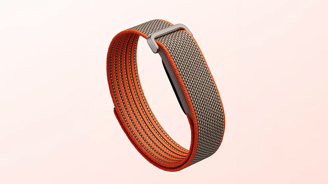 Google Fitbit Air Wearable