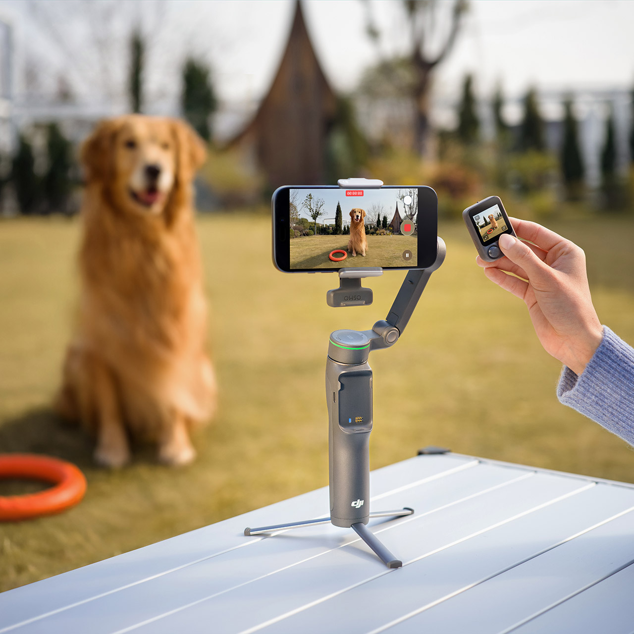 DJI Osmo Mobile 8P Release