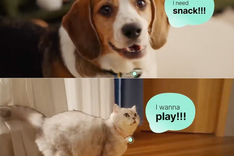 China AI Collar Pet Bark Meow Pettichat