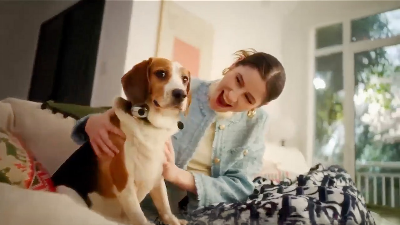 China AI Collar Pet Bark Mewo Pettichat
