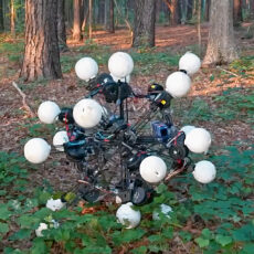 20-Legged Argus Robot Symmetry