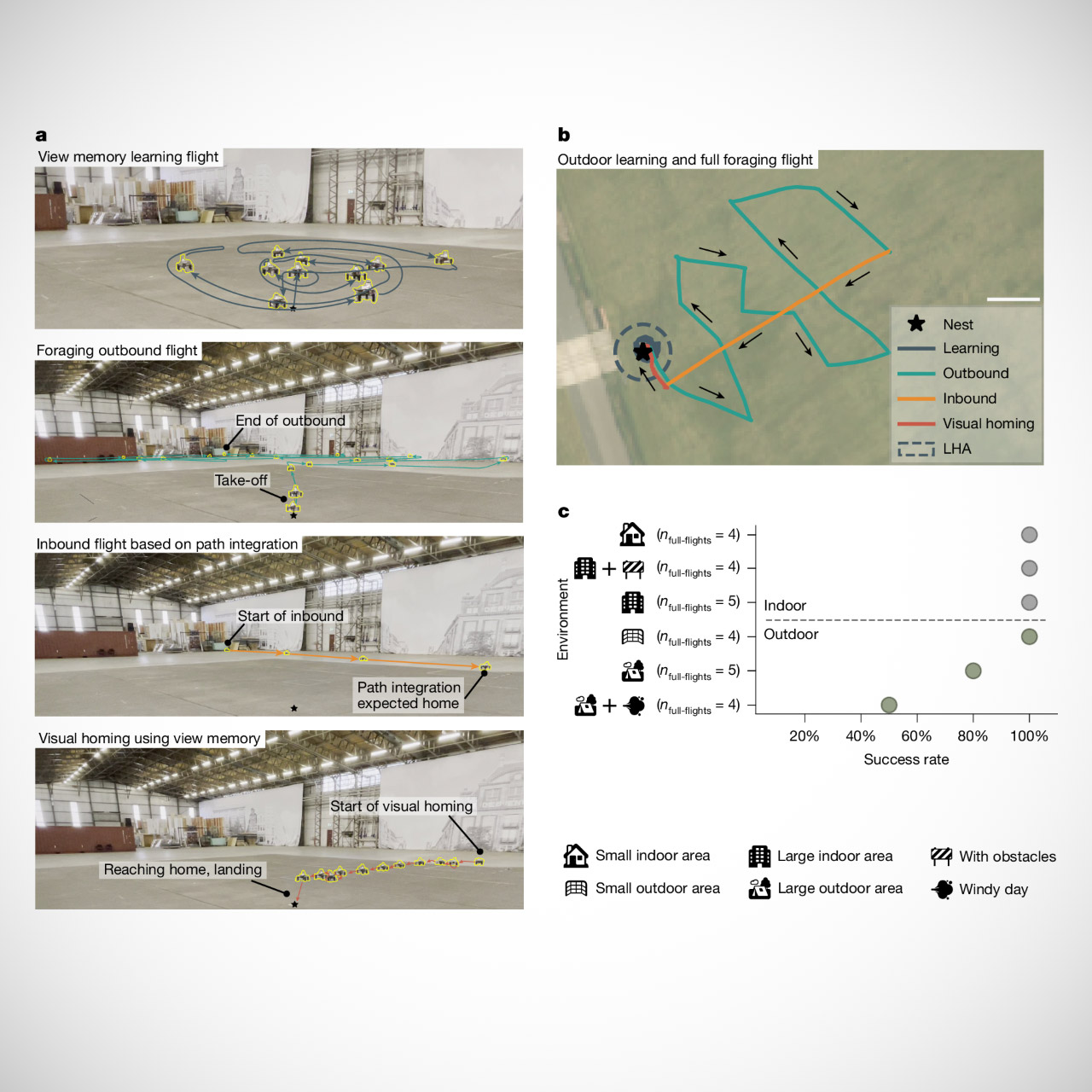 Drone Honebee Navigation Bee Nav
