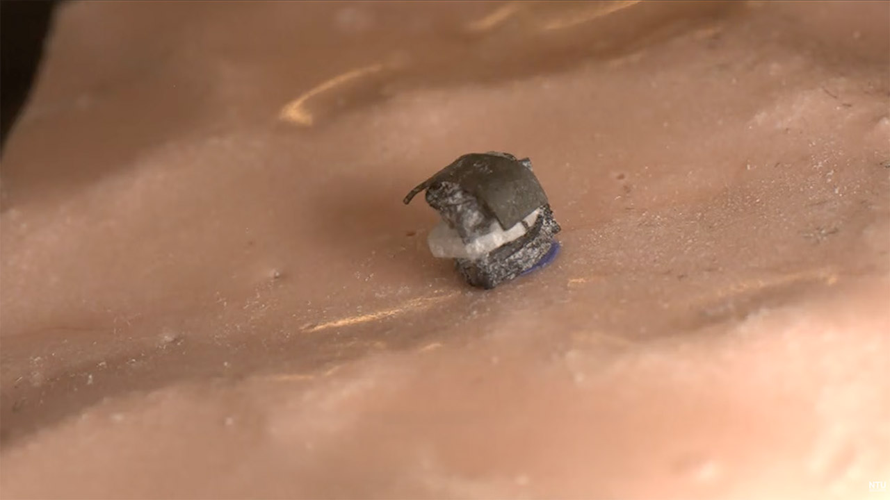 NTU 5-in-1 Surgical Micro Robot