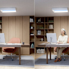 Philips Skylight Natural Ceiling Light Fixture