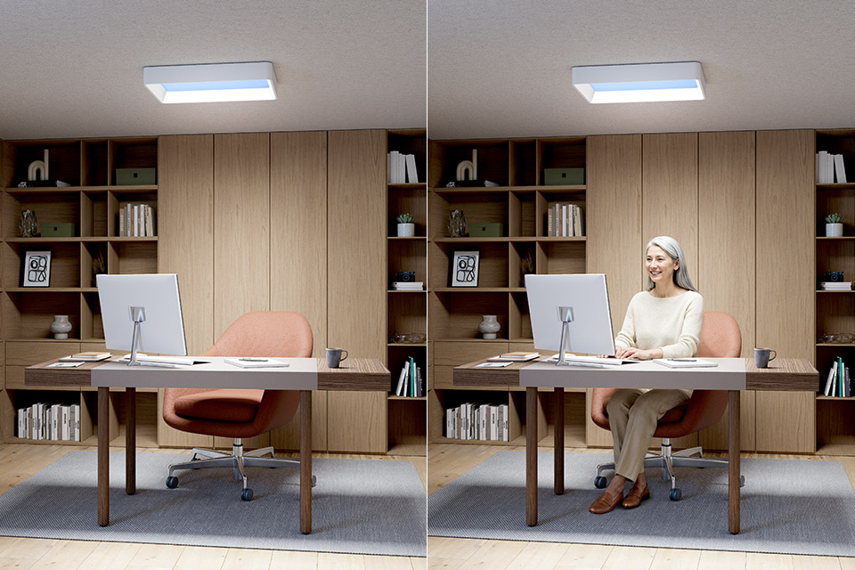 Philips Skylight Natural Ceiling Light Fixture