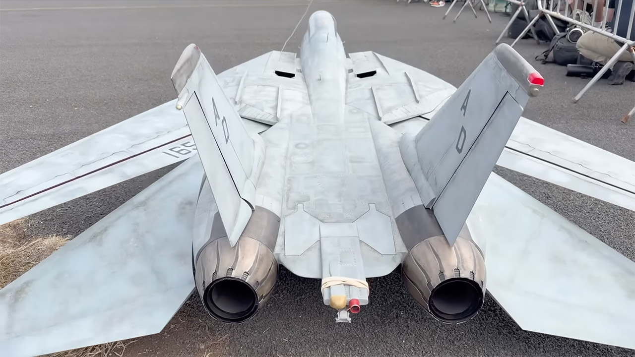 Remote-Controlled F-14 Tomcat Jet