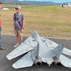 Remote-Controlled F-14 Tomcat Jet
