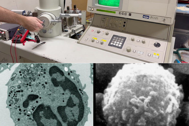 Scanning Electron Microscope to TEM Transmission Project Mod