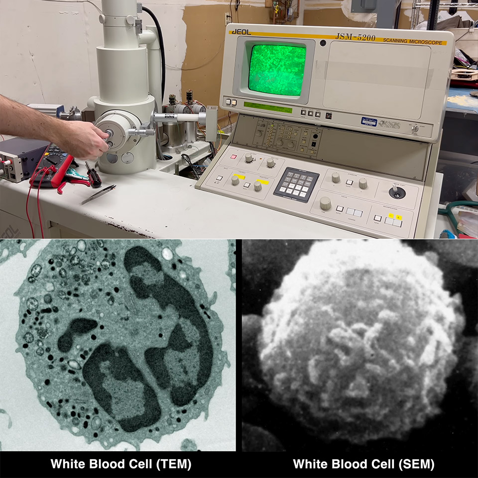 Scanning Electron Microscope to TEM Transmission Project Mod