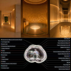 Midjourney Medical Body Scanner MRI Ultrasound Spa