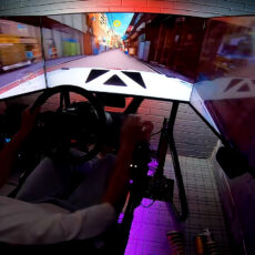 Forza Horizon 6 Pro WRC Driver Racing Sim