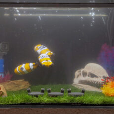 Micro-Submarine Fish Aquarium
