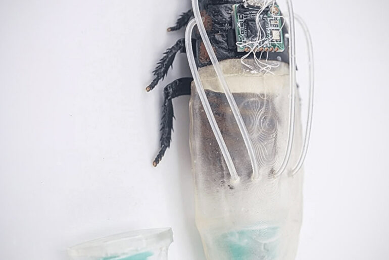Amphibious Cyborg Cockroaches Diving 3D-Printed Oxygen Suit