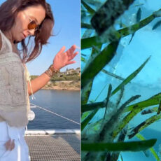 Woman Drops iPhone 16 Pro Vacation Greece Recording Fish