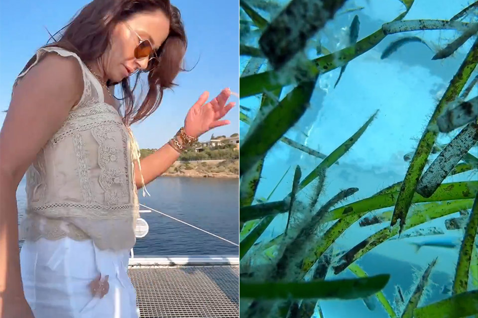 Woman Drops iPhone 16 Pro Vacation Greece Recording Fish