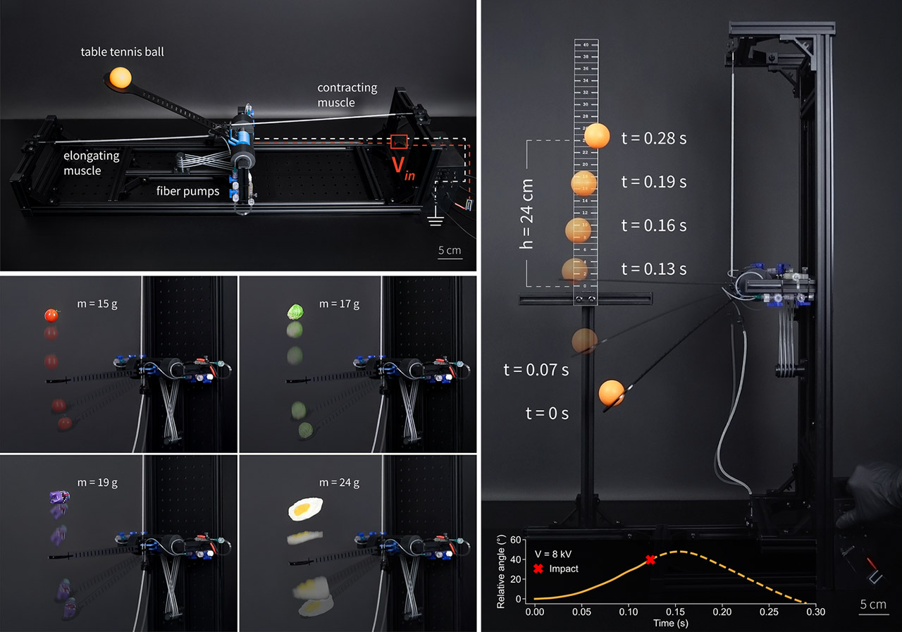 MIT Electrofluidic Fiber Muscles robots