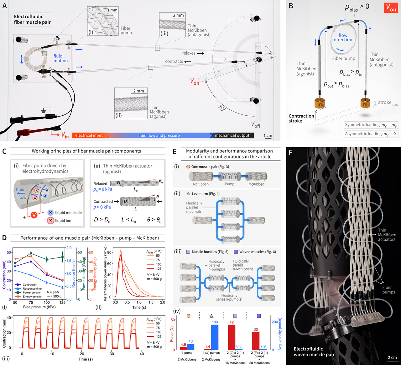 MIT Electrofluidic Fiber Muscles robots