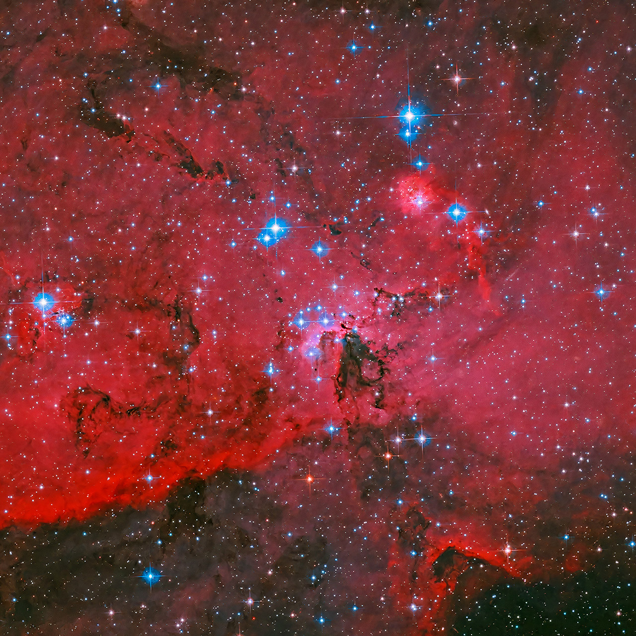 NASA Hubble LH 59 Large Magellanic Cloud