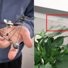 Phantom Twist Spinning Drone Invisible