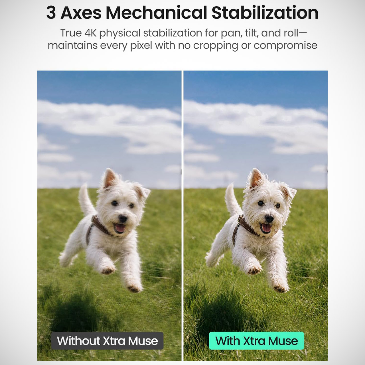 Xtra Muse Pocket Camera Gimbal 2026