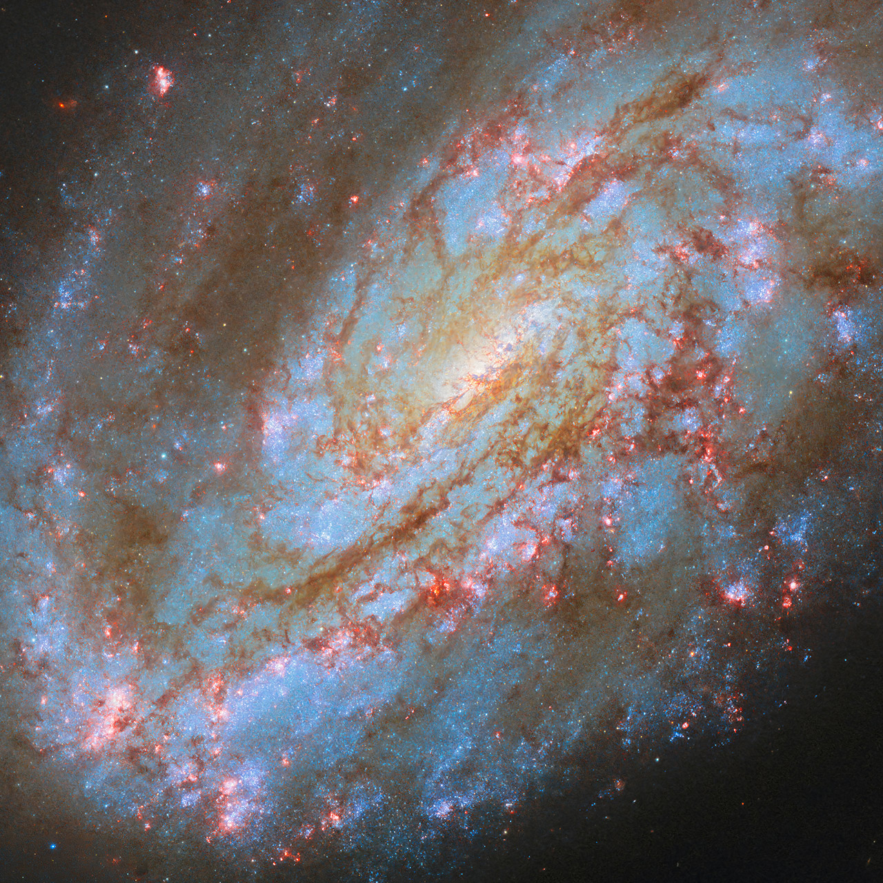 NASA Hubble NGC 4654 Spiral Gaalxy