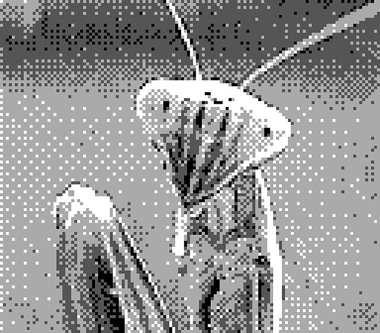 Game Boy Camera Sample Photo