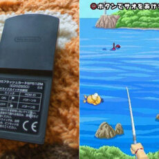 Pokemon PokePark Fishing Contest DS Lost Cartridge Game