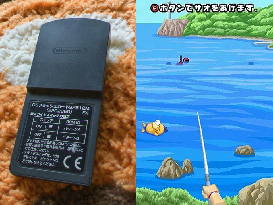 Pokemon PokePark Fishing Contest DS Lost Cartridge Game