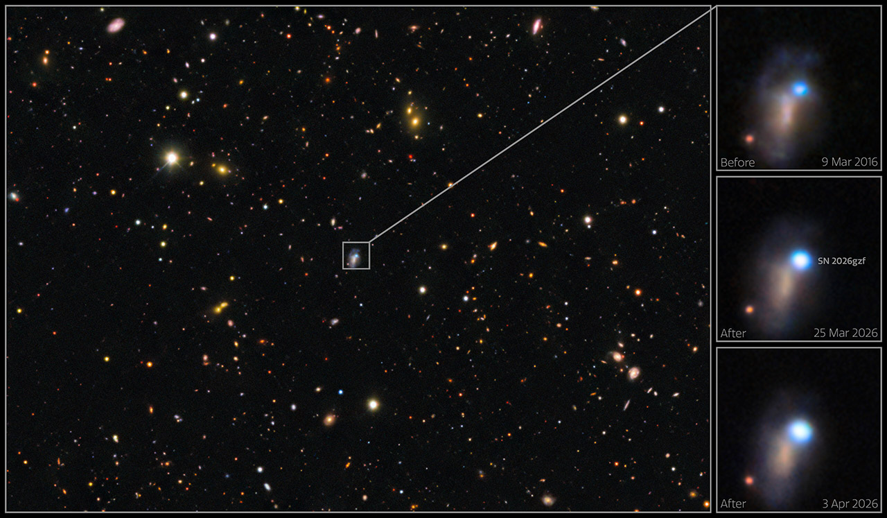 Soft X-Ray Flash Supernova SN 2026gzf