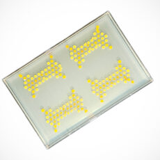 MIT Living Transistors Bacteria Colonies