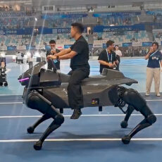 Qiji X1 DaxAI Robotics Robot Horse
