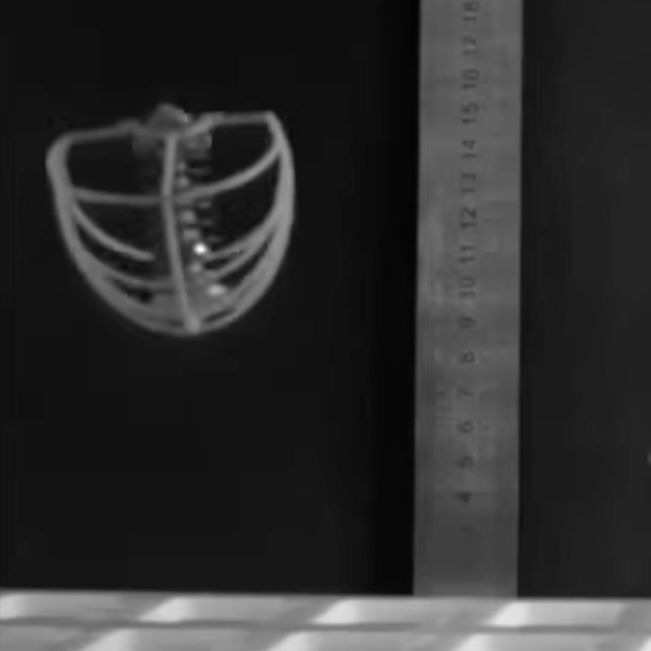 BeanBot Mexican Jumping Bean Robot