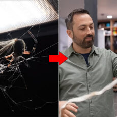 Veritasium Spider Web Silk Strength Test