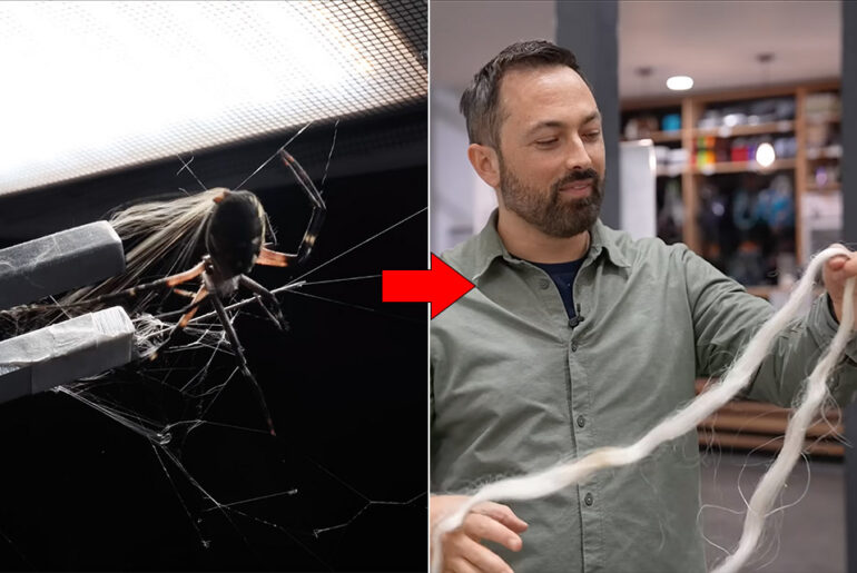 Veritasium Spider Web Silk Strength Test