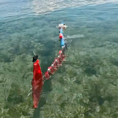 Length-Scalable Fish Robot ScaFi NYU