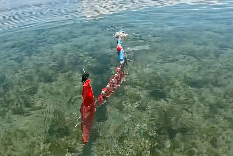Length-Scalable Fish Robot ScaFi NYU