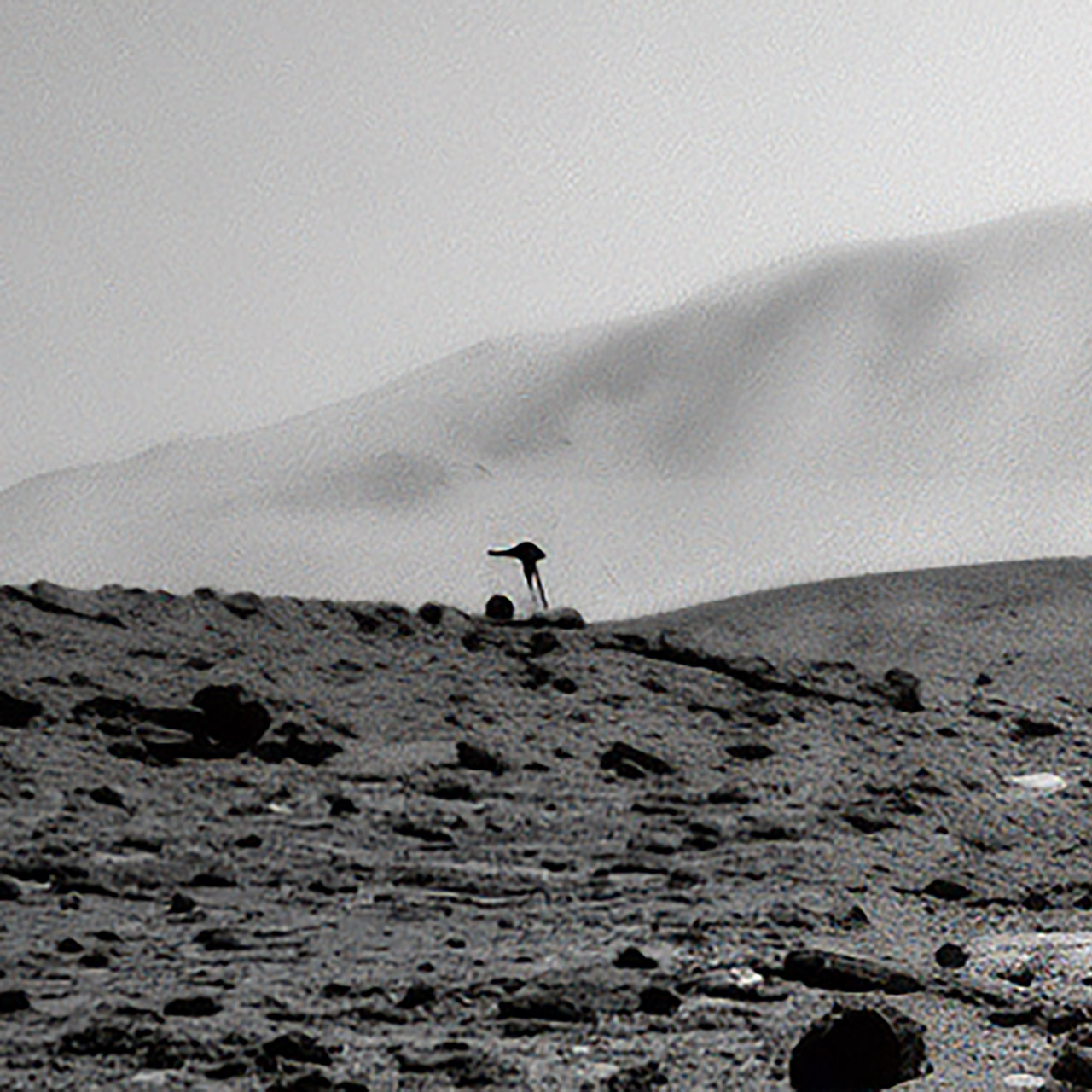 Curiosity Sol 3924 Jellyfish Mars