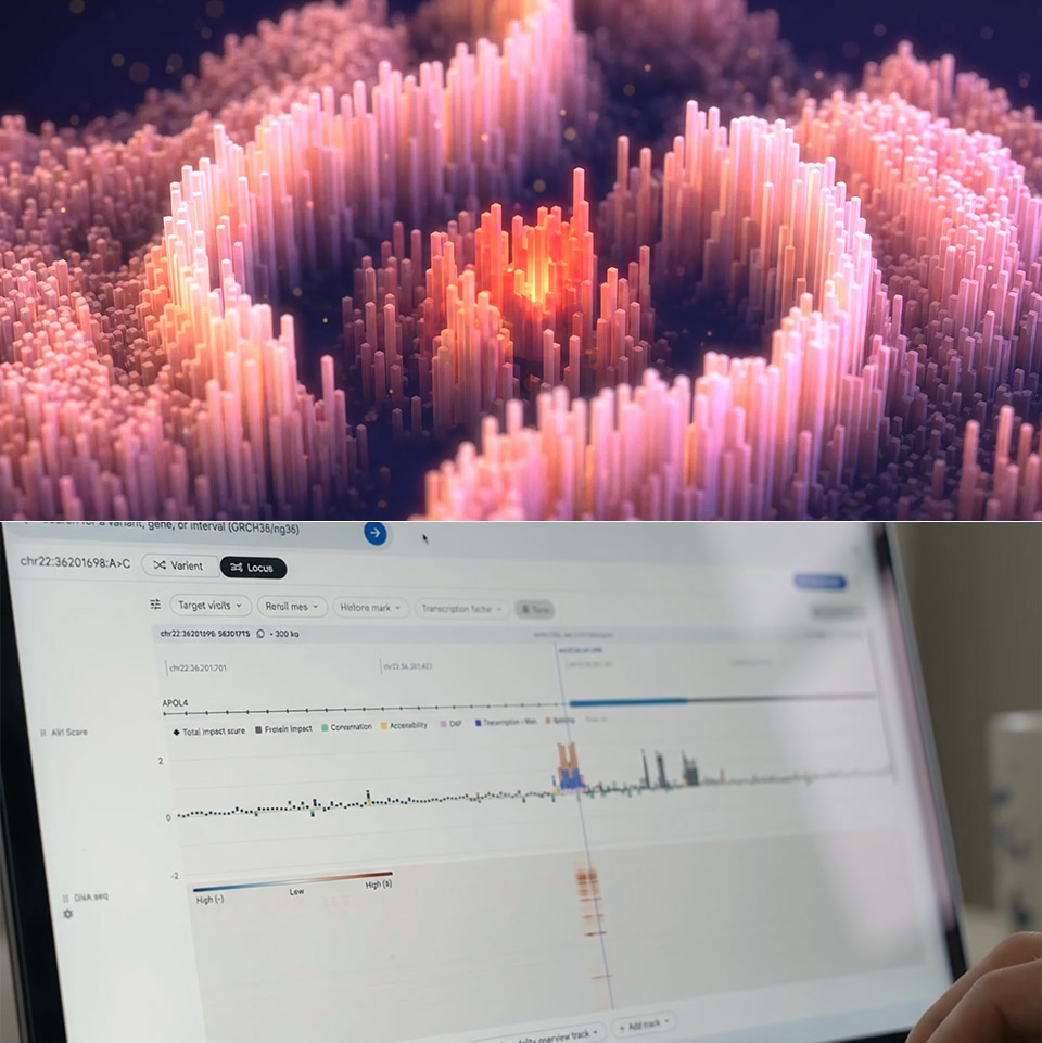 Google DeepMind AlphaGenome Atlas Human DNA Map