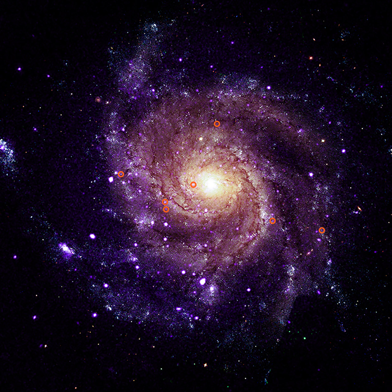 NASA Chandra X-ray Observatory Mysterious HSS Objects
