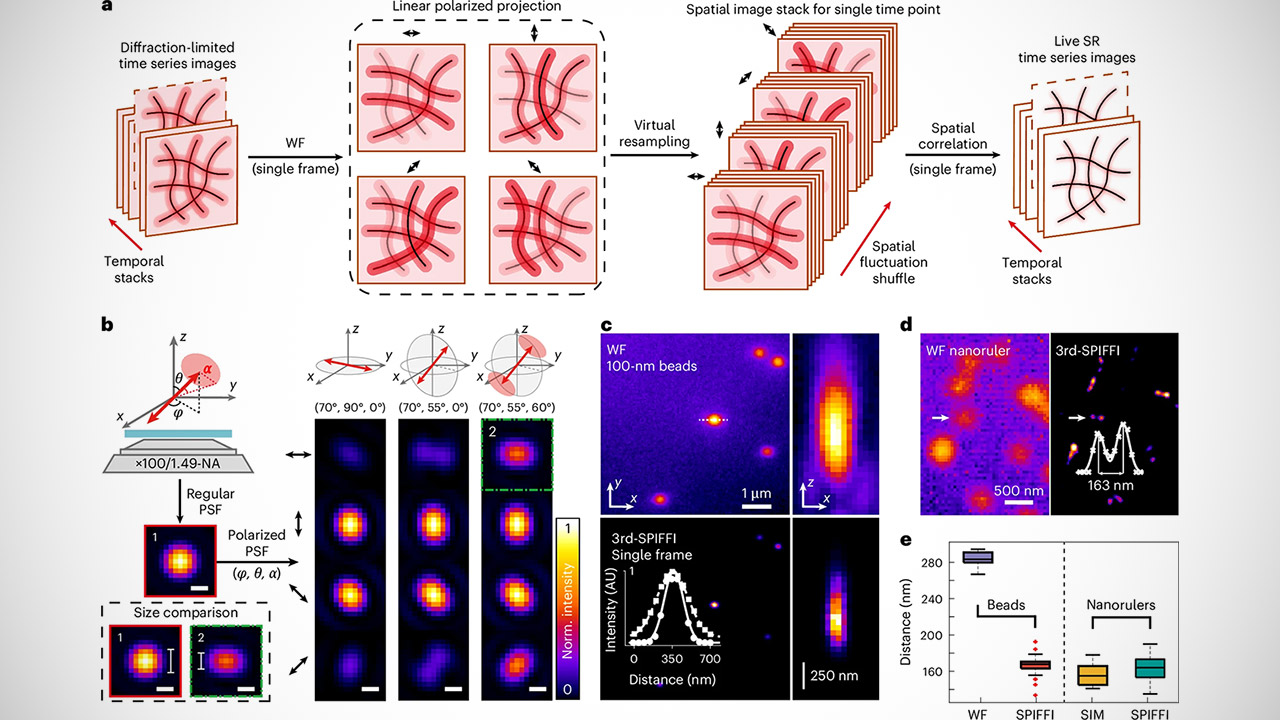 SPIFFI Microscope Living Cells Real-Time
