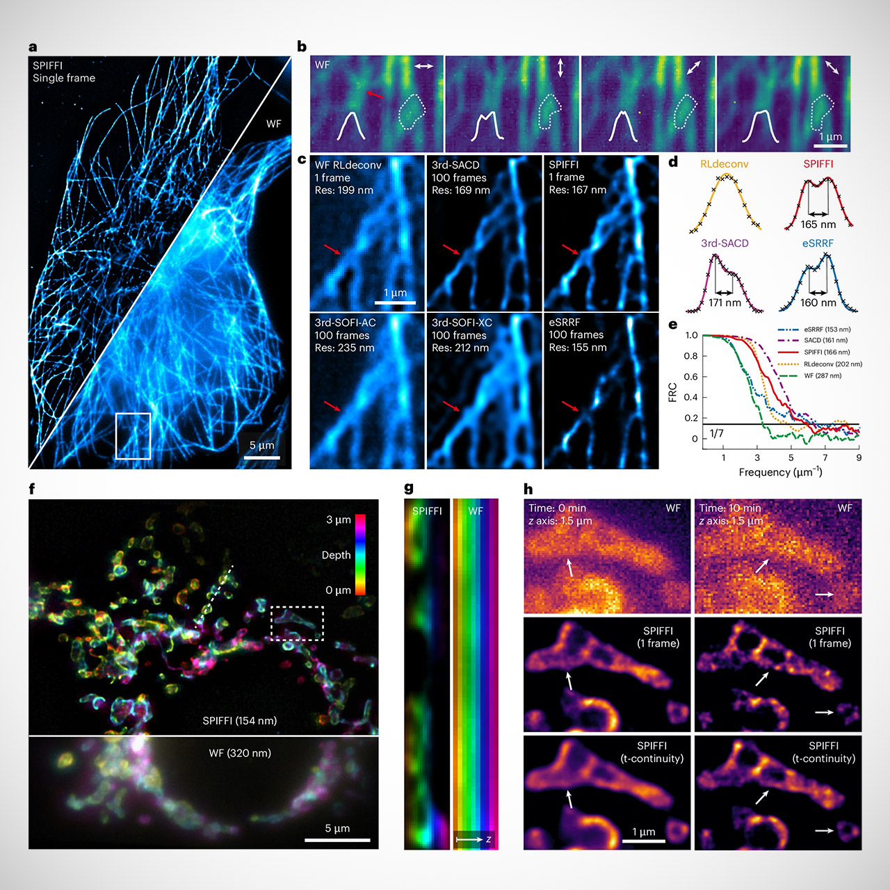 SPIFFI Microscope Living Cells Real-Time