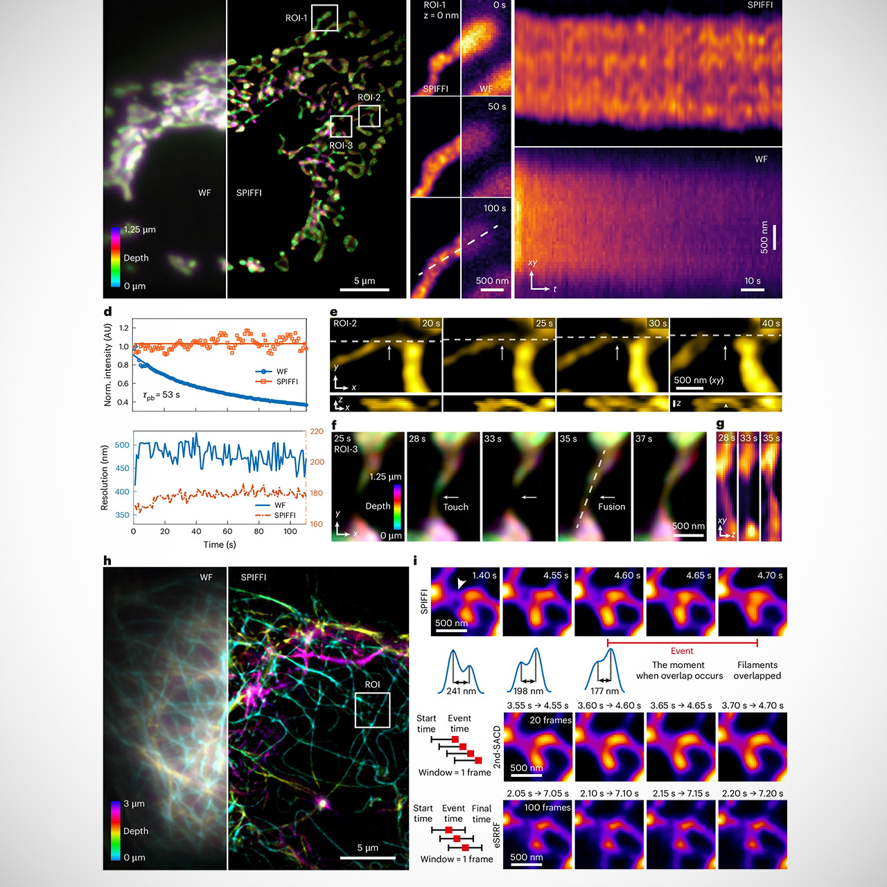 SPIFFI Microscope Living Cells Real-Time